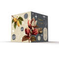Panettone Lingua de Gato Soul Good 550g